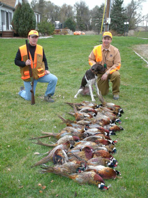 Hunting Dog