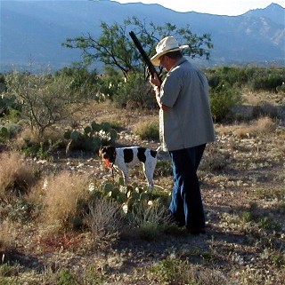 Hunting Dog