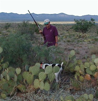 Hunting Dog