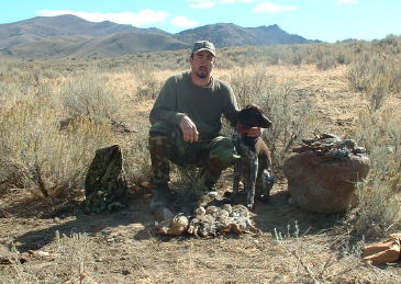 Hunting Dog