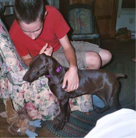 Hunting Dog