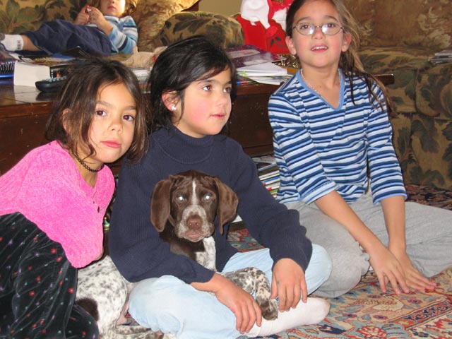 Hunting Dog
