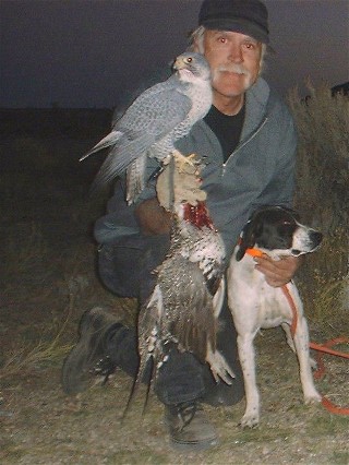 Hunting Dog